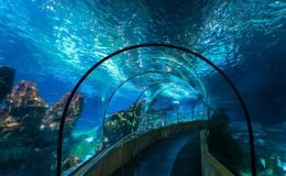 Aquarium barcelone-small