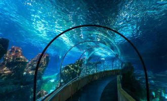 Aquarium barcelone-small