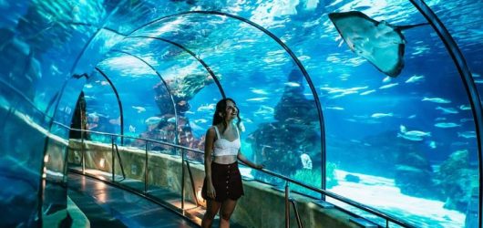 billet Aquarium de Barcelone